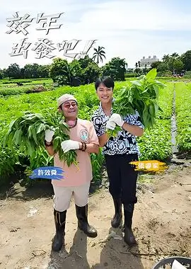 美食综艺